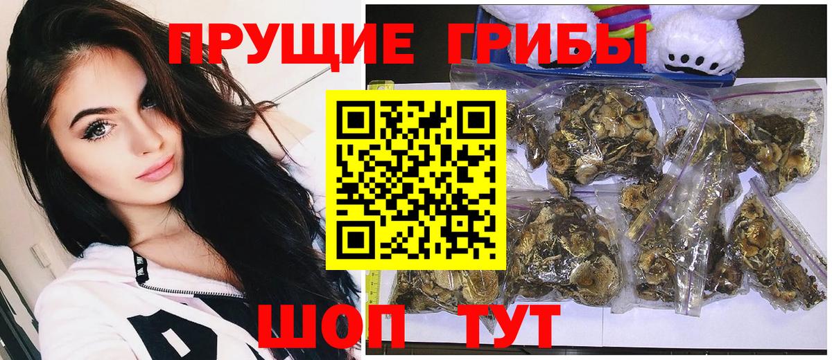 Кумертау  Псилоцибиновые грибы ЛСД  Галлюциногенные грибы мицелий  Вход с VPN 