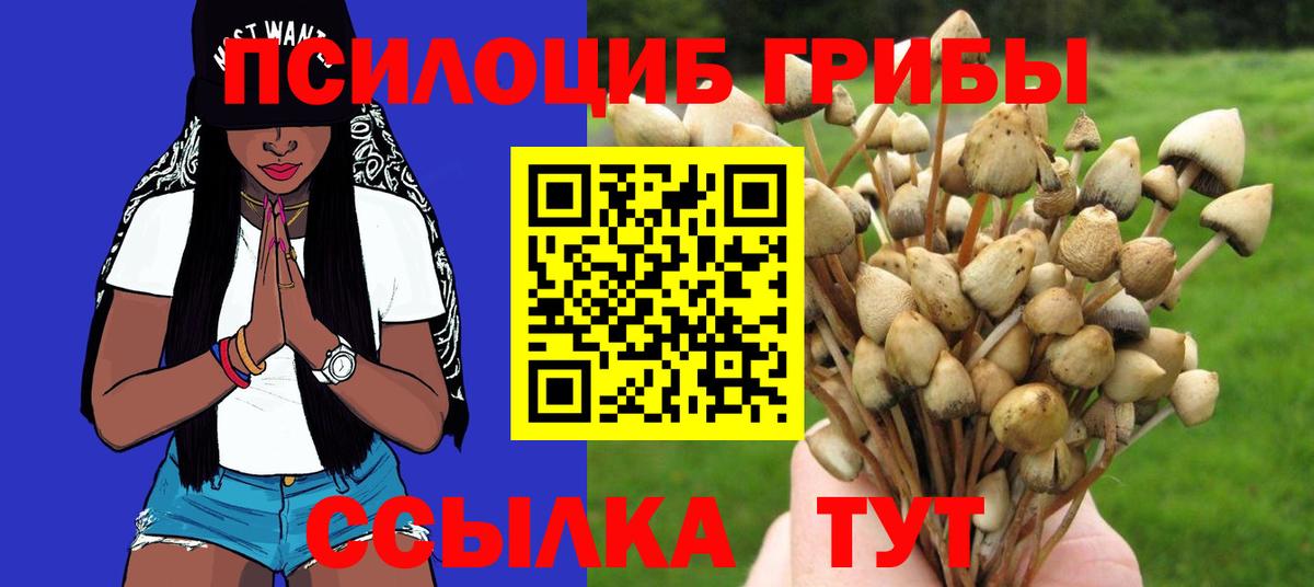 Псилоцибиновые грибы ЛСД Кумертау